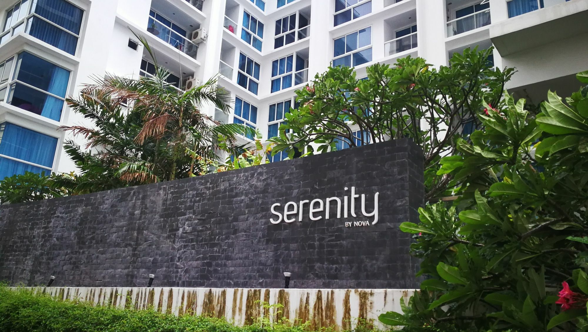 Serenity Condo Wongamat By Patsamon Pattaya Eksteriør billede